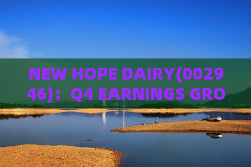 NEW HOPE DAIRY(002946)：Q4 EARNINGS GROWTH ACCELERATES WITH LOW-TEMPERATURE PRODUCTS CONTINUING TO EXCEL  第1张