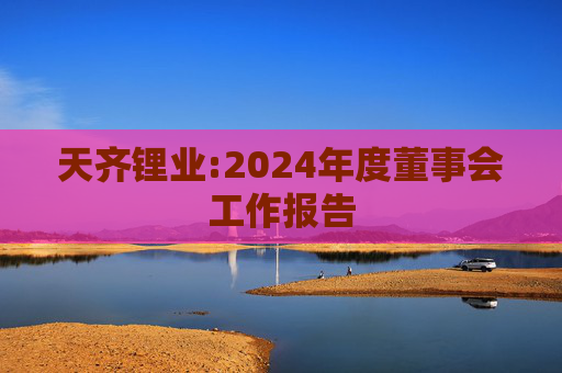天齐锂业:2024年度董事会工作报告