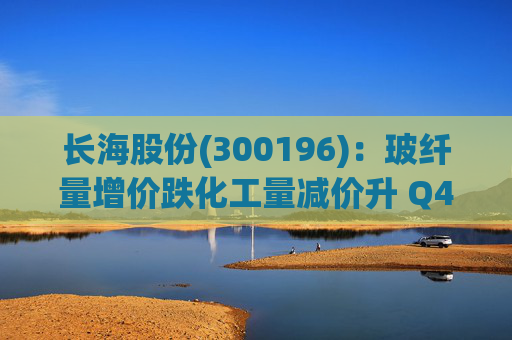 长海股份(300196)：玻纤量增价跌化工量减价升 Q4业绩同比显著修复  第1张