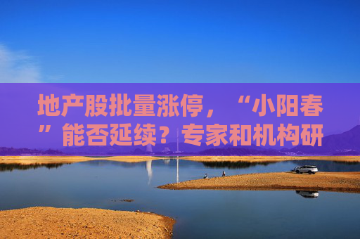 地产股批量涨停，“小阳春”能否延续？专家和机构研判来了