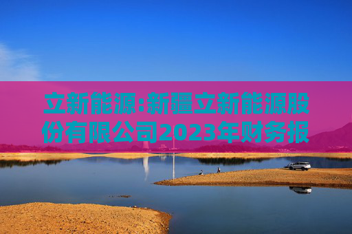 立新能源:新疆立新能源股份有限公司2023年财务报表审计报告书