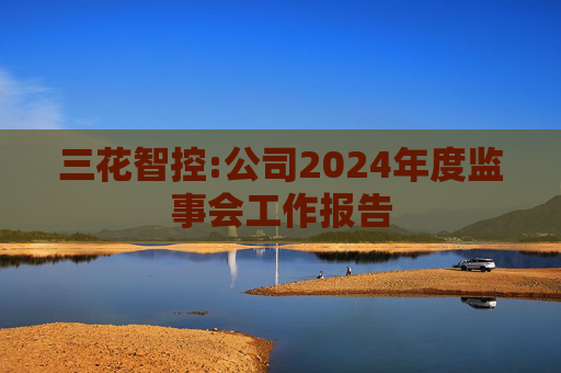 三花智控:公司2024年度监事会工作报告