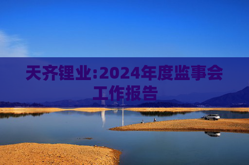 天齐锂业:2024年度监事会工作报告  第1张