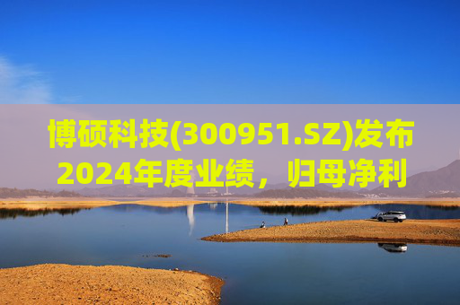 博硕科技(300951.SZ)发布2024年度业绩，归母净利润2.11亿元，同比下降17.35%  第1张