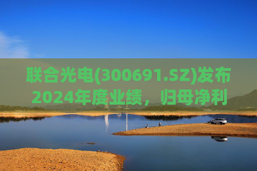 联合光电(300691.SZ)发布2024年度业绩，归母净利润3856.29万元，同比下降40.02%  第1张