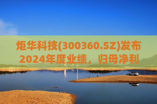 炬华科技(300360.SZ)发布2024年度业绩，归母净利润6.65亿元，同比增长9.45%  第1张