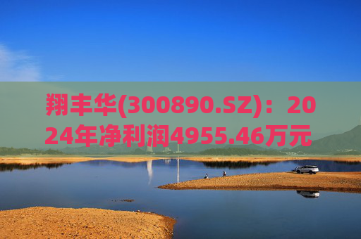翔丰华(300890.SZ)：2024年净利润4955.46万元 同比下降40.23%