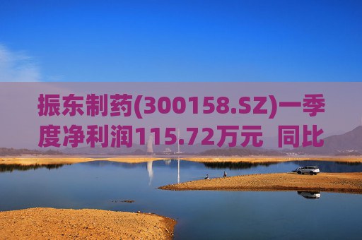 振东制药(300158.SZ)一季度净利润115.72万元  同比减少94.99% 第1张