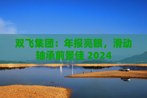 双飞集团：年报亮眼，滑动轴承前景佳 2024