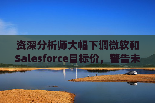 资深分析师大幅下调微软和Salesforce目标价，警告未来一年将"艰难"