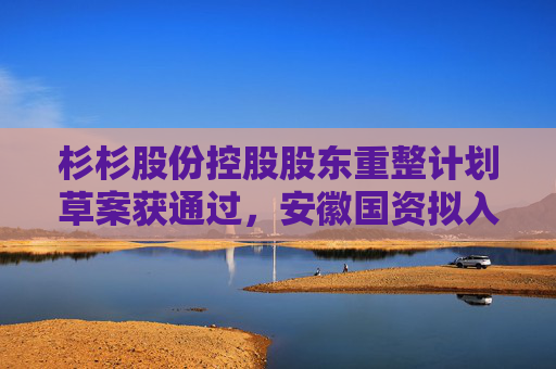 杉杉股份控股股东重整计划草案获通过，安徽国资拟入主