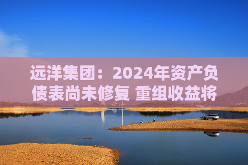 远洋集团：2024年资产负债表尚未修复 重组收益将于2025年释放  第1张
