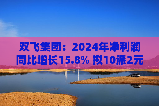 双飞集团：2024年净利润同比增长15.8% 拟10派2元  第1张