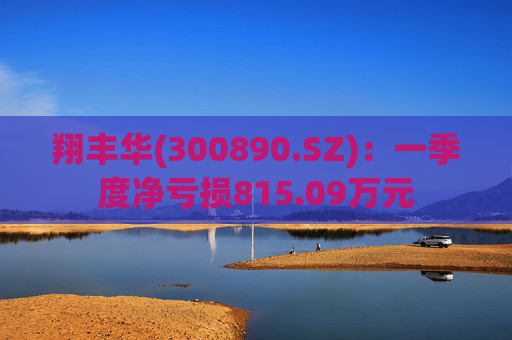 翔丰华(300890.SZ)：一季度净亏损815.09万元  第1张