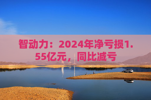 智动力：2024年净亏损1.55亿元，同比减亏  第1张