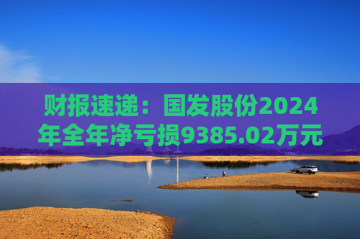 财报速递：国发股份2024年全年净亏损9385.02万元  第1张