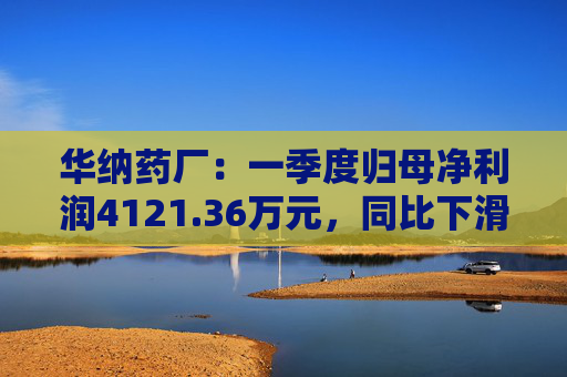 华纳药厂：一季度归母净利润4121.36万元，同比下滑31.37%