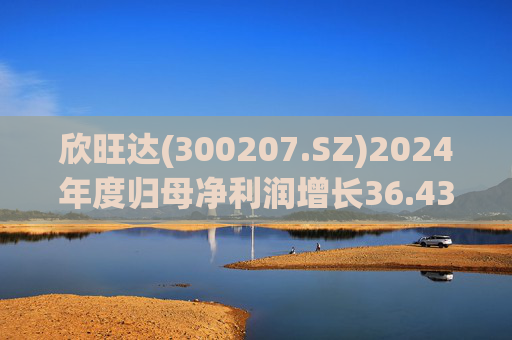 欣旺达(300207.SZ)2024年度归母净利润增长36.43%至14.68亿元，动力电池出货量合计25.29GWh