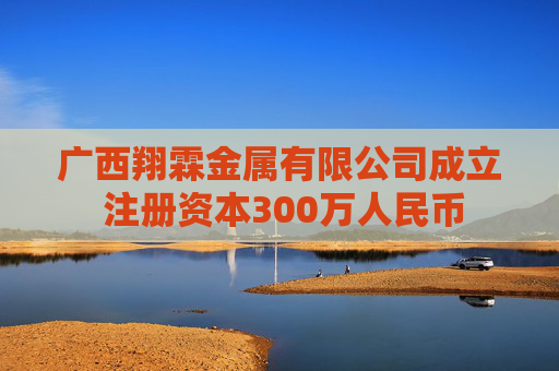 广西翔霖金属有限公司成立 注册资本300万人民币