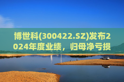 博世科(300422.SZ)发布2024年度业绩,归母净亏损8.65亿元,扩大300.66%