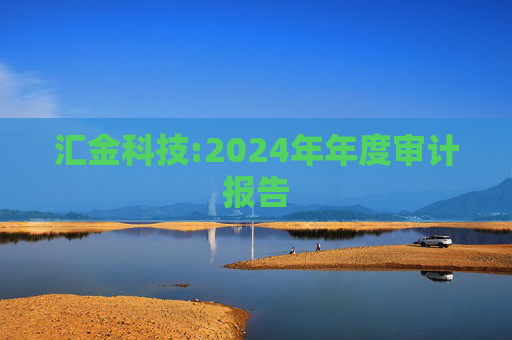 汇金科技:2024年年度审计报告  第1张