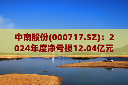 中南股份(000717.SZ):2024年度净亏损12.04亿元