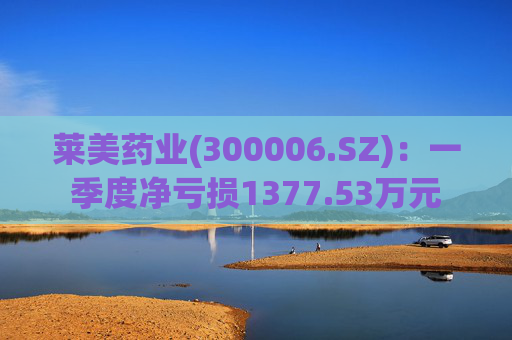莱美药业(300006.SZ):一季度净亏损1377.53万元 第1张 莱美药业(300006.SZ):一季度净亏损1377.53万元 第1张
