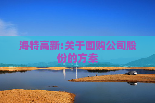 海特高新:关于回购公司股份的方案