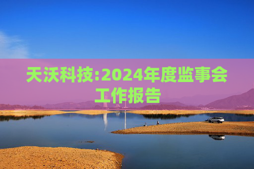 天沃科技:2024年度监事会工作报告  第1张