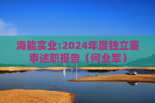 海能实业:2024年度独立董事述职报告(何业军)