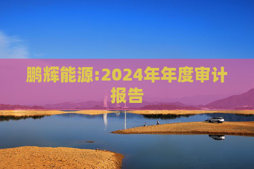 鹏辉能源:2024年年度审计报告