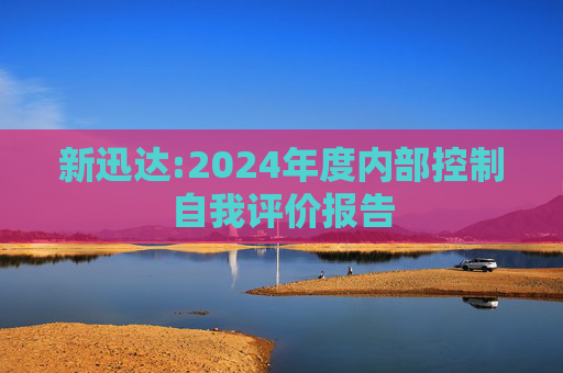 新迅达:2024年度内部控制自我评价报告  第1张