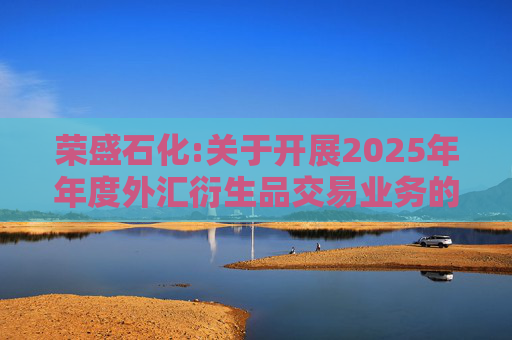 荣盛石化:关于开展2025年年度外汇衍生品交易业务的公告  第1张