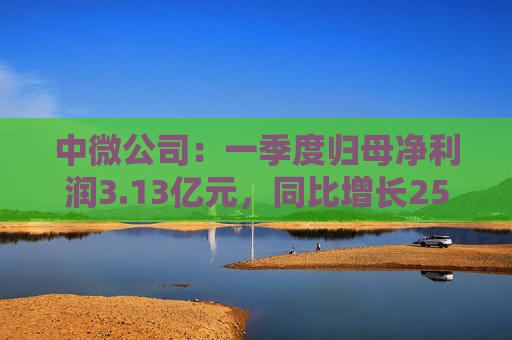 中微公司:一季度归母净利润3.13亿元,同比增长25.67%