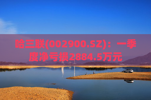 哈三联(002900.SZ)：一季度净亏损2884.5万元  第1张