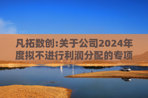凡拓数创:关于公司2024年度拟不进行利润分配的专项说明