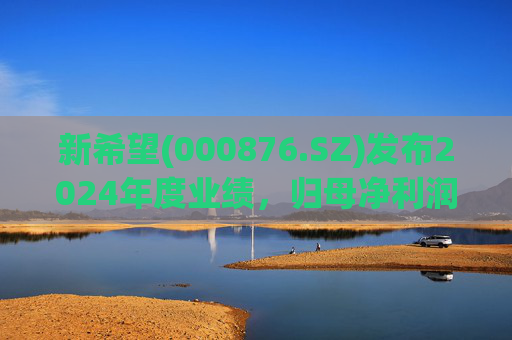 新希望(000876.SZ)发布2024年度业绩,归母净利润4.74亿元,同比增长90.05% 第1张 新希望(000876.SZ)发布2024年度业绩,归母净利润4.74亿元,同比增长90.05% 第1张