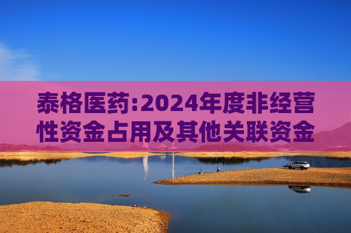 泰格医药:2024年度非经营性资金占用及其他关联资金往来情况的专项报告  第1张