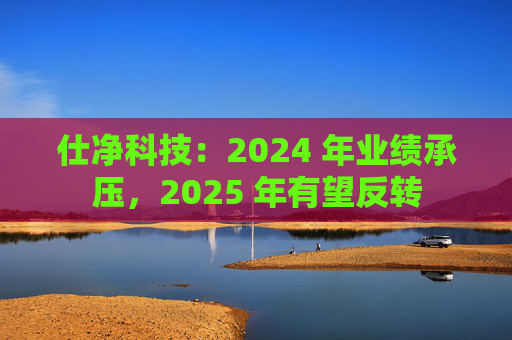 仕净科技：2024 年业绩承压，2025 年有望反转