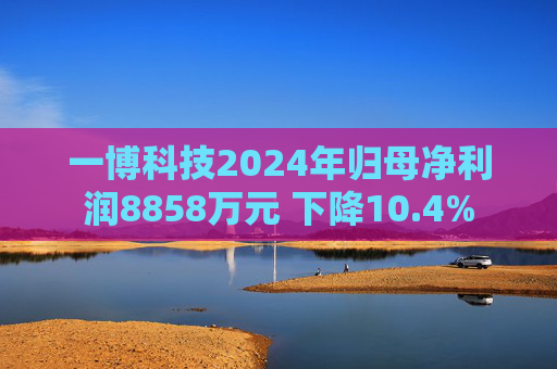 一博科技2024年归母净利润8858万元 下降10.4%