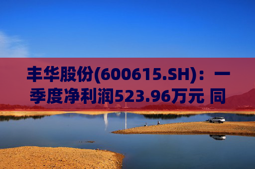 丰华股份(600615.SH)：一季度净利润523.96万元 同比增长645.11%  第1张