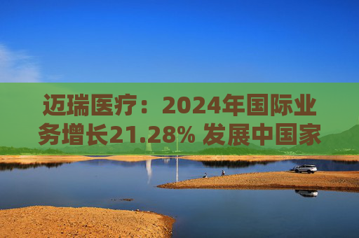 迈瑞医疗:2024年国际业务增长21.28% 发展中国家成重要增长引擎
