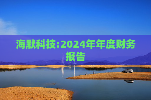 海默科技:2024年年度财务报告