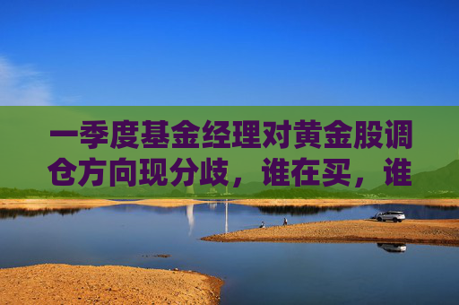 一季度基金经理对黄金股调仓方向现分歧，谁在买，谁在卖？