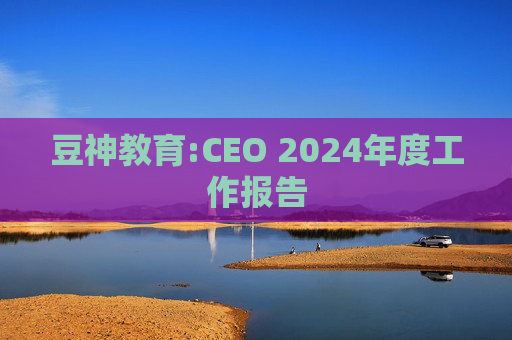 豆神教育:CEO 2024年度工作报告  第1张