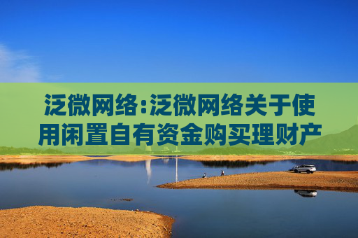 泛微网络:泛微网络关于使用闲置自有资金购买理财产品的公告