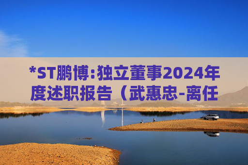 *ST鹏博:独立董事2024年度述职报告（武惠忠-离任）