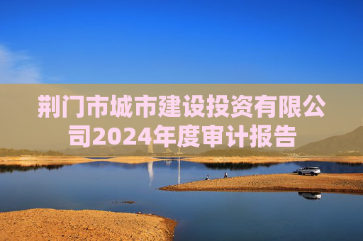 荆门市城市建设投资有限公司2024年度审计报告