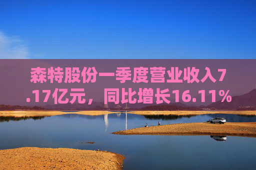 森特股份一季度营业收入7.17亿元，同比增长16.11%  第1张