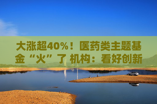 大涨超40%！医药类主题基金“火”了 机构：看好创新药投资机会